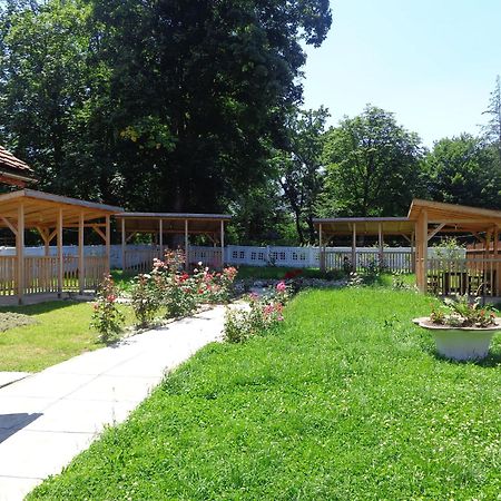Pensiunea Radu Cisnădie Rom bilde